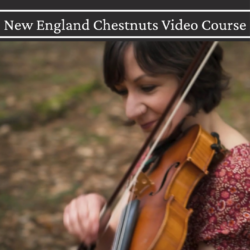 New England Chestnuts
